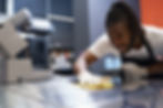 close-up-photo-of-chef-cleaning-work-place-after-h-2024-10-18-08-46-30-utc.jpg