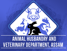 Assam Veterinary Recruitment 2025 – 445 Veterinary Field Assistant Posts