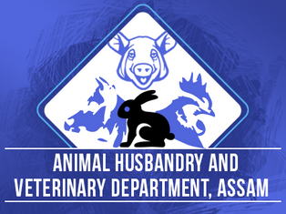 Assam Veterinary Recruitment 2025 – 445 Veterinary Field Assistant Posts