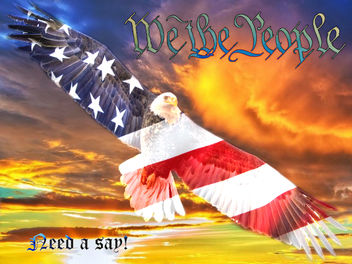We the People.. need a say!