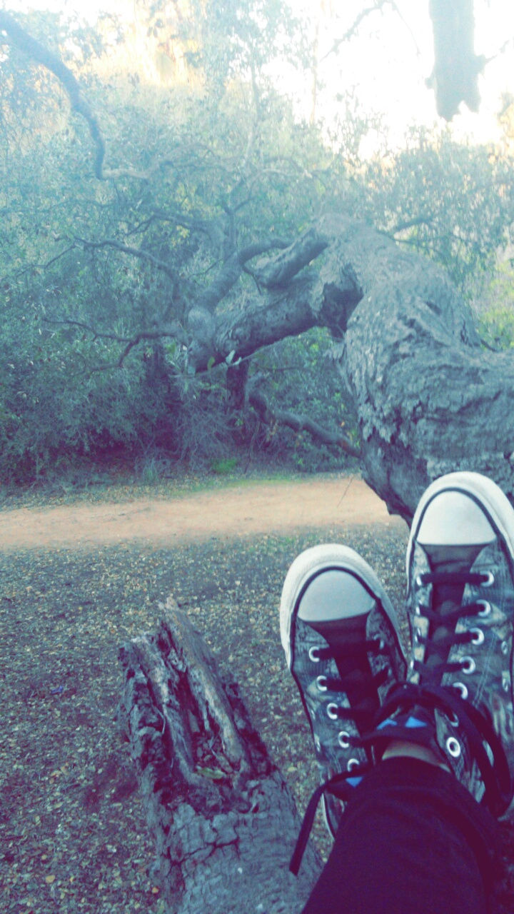 Snapchat-5383064201396672963