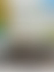 National Lego Day 2026