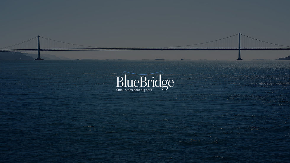 bbArtboard 1main.jpg