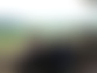 Wheelchair Accessible Things to Do in the Smoky Mountains