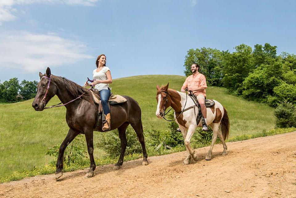 Eye-level view of a horse trotting along Smoky Mountain trails