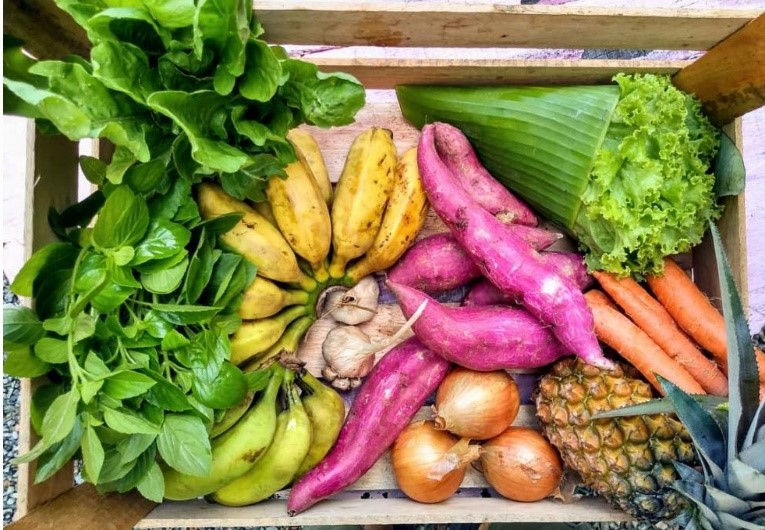 Feiras Orgânicas - Comida de Verdade - É conosco