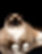cherie+print-17.jpg