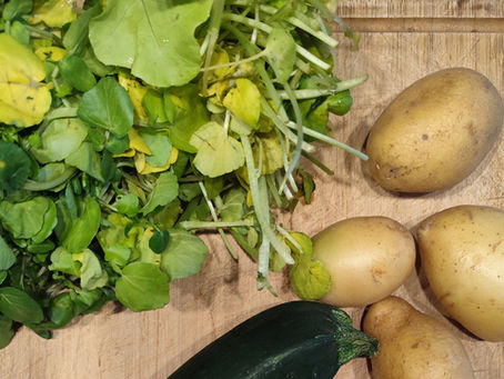 soupe de saison au cresson