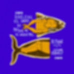 SOUS L'EAU LES LARMES DU POISSON NE SE VOIENT PAS