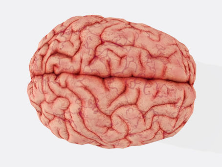 Leveraging Explainable AI to Identify Novel Risk Factors in Dementia