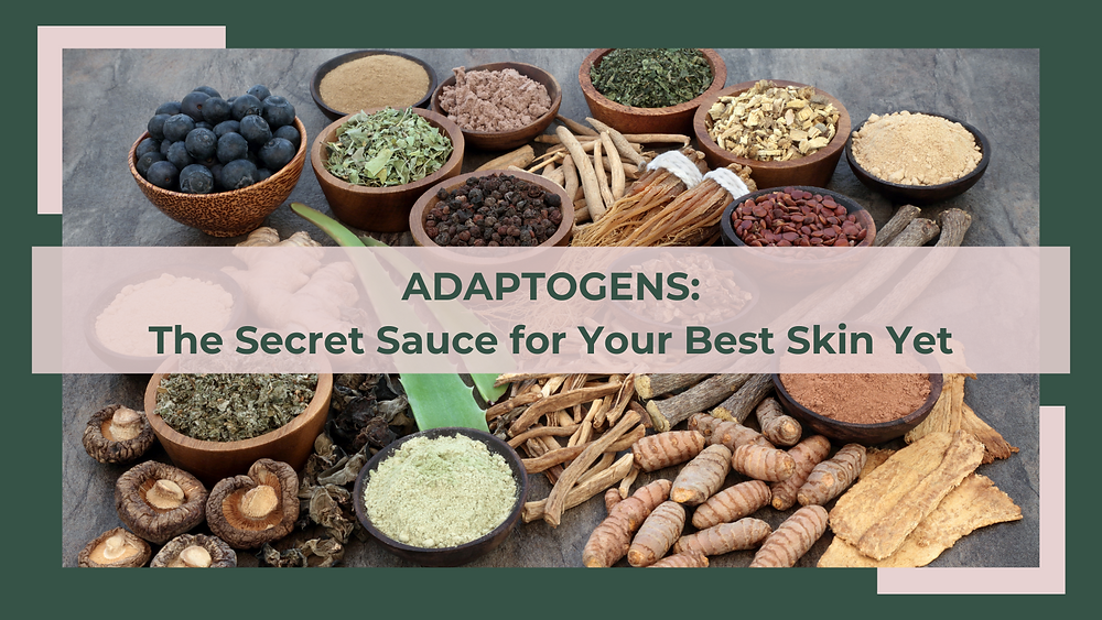 Adaptogens: The Secret Sauce for Your Best Skin Yet