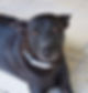 Chico_edited.jpg