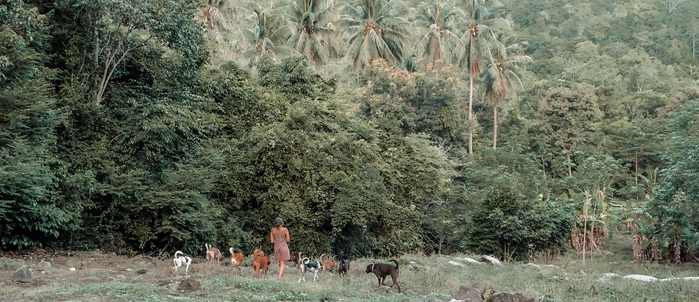 252771672_403809594727417_8182476059441002857_n (2).jpg