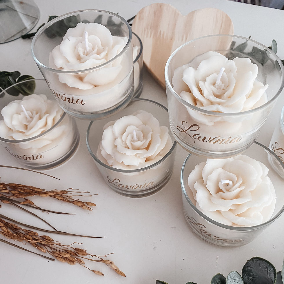 vela harmony · off white