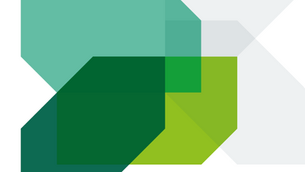 Reaction to ZEV mandate consultation