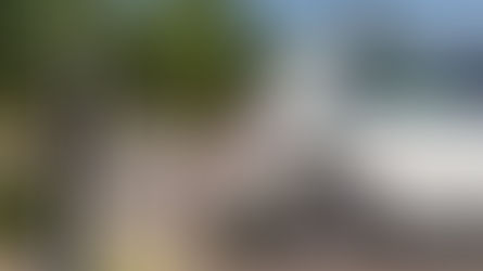 REVEALED: less than three in ten councils have electric vehicle transition plan