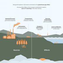 Screen Shot 2019-12-21 at 11.12.54 PM.png