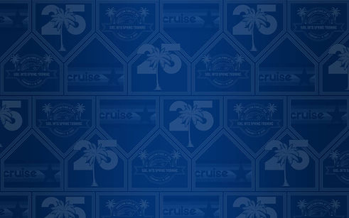 cruise background.jpg