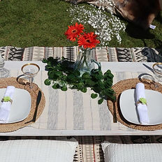 picnic