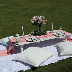 picnic