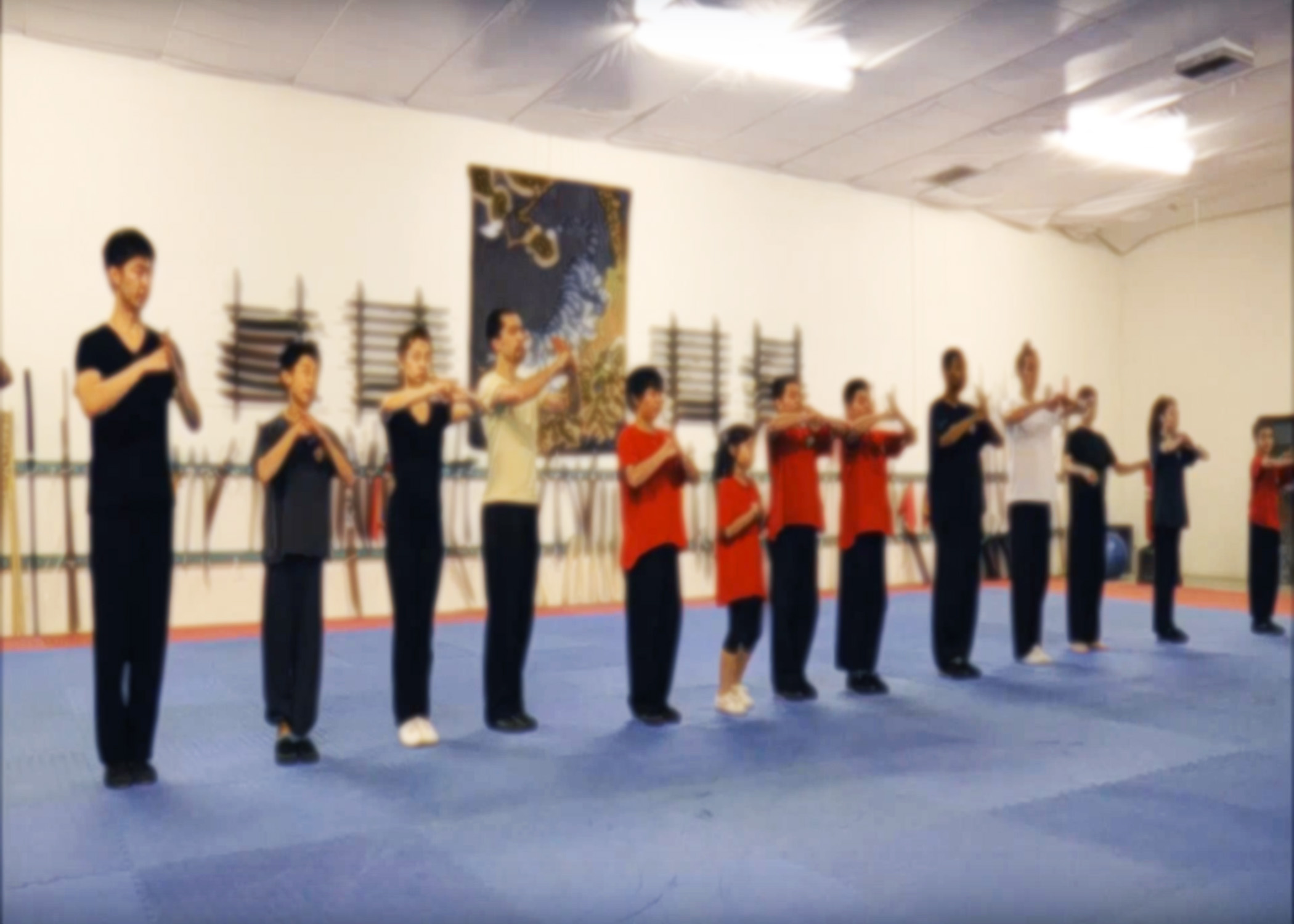 World Martial Arts Academy facility image