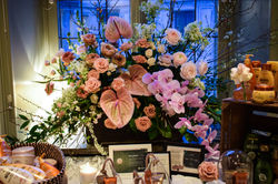 GARNIER RESPONS | DAISY BEAUTY EXPO