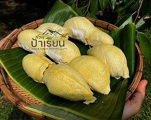สวนป้าเรียน.jpg