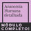 Miniatura: MÓDULO COMPLETO - ANATOMIA DETALHADA