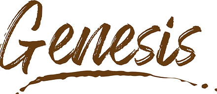 logo_genesisi_low.jpg