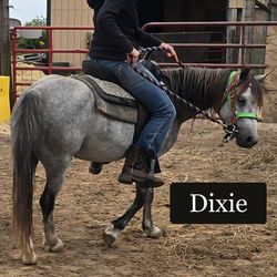 Dixie