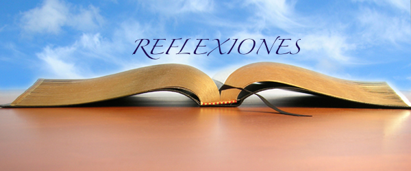 Reflexiones Bíblicas