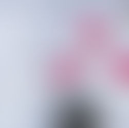 3  Paid Social Trends To Lookout For 