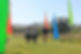 Run the Marsh 2024_DeansMarsh_3
