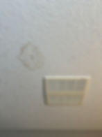 IMG_5651.jpeg
