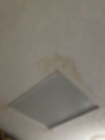 IMG_0143.jpeg