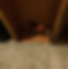ree