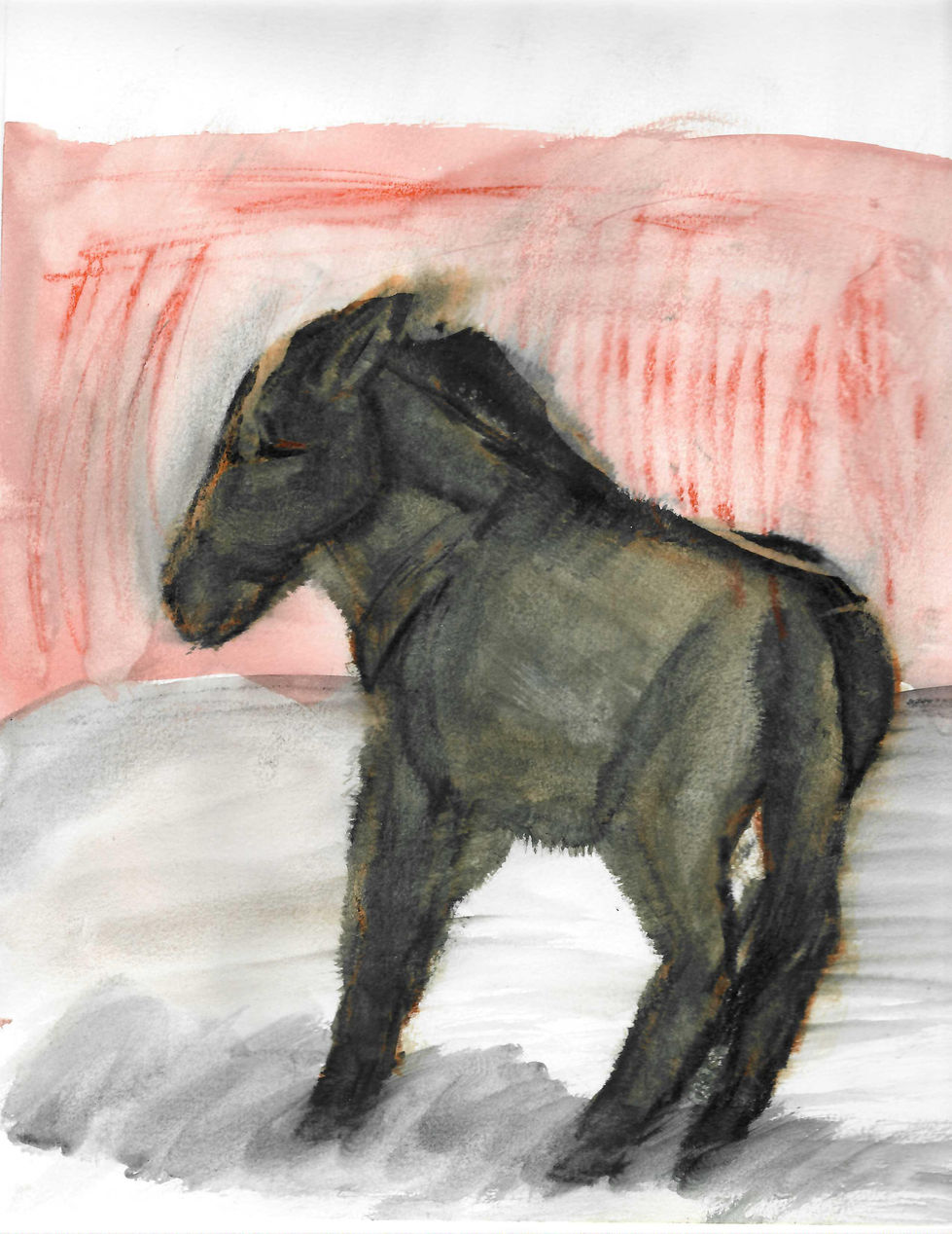 Miniture Donkey.JPG