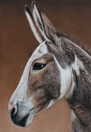 dessin ane au pastel sec par Ninon Cobergh