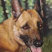 Berger, pastel sec par Ninon Cobergh