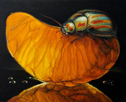 dessin orange original  au pastel sec par Ninon Cobergh