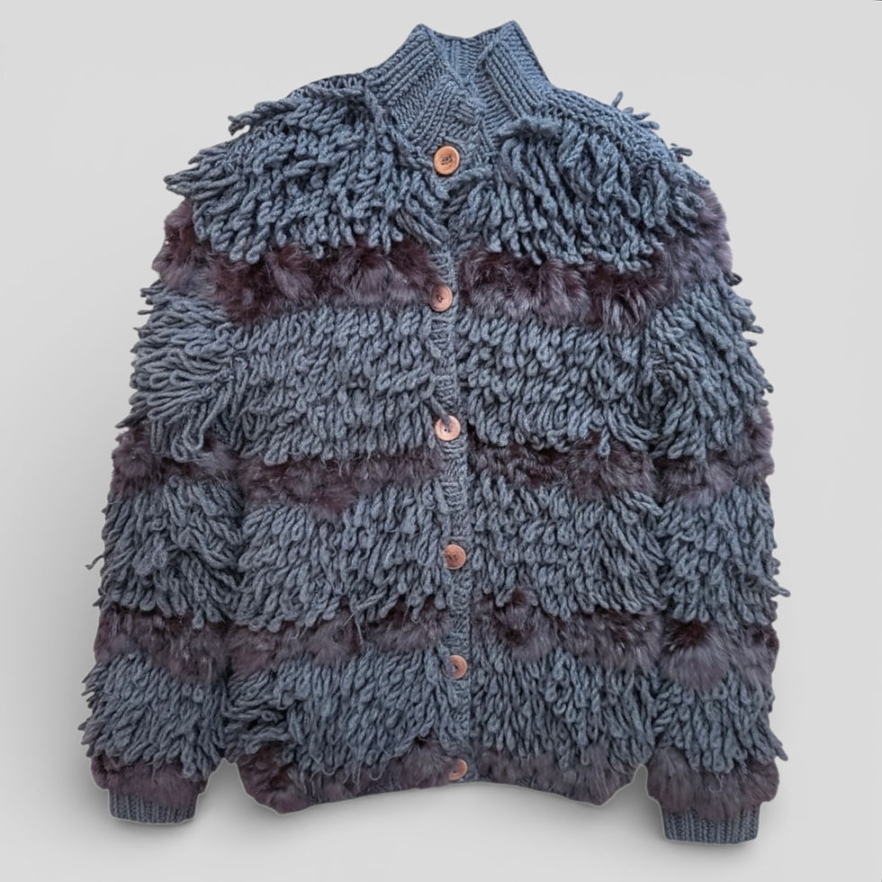 Alberta Ferretti Long-Sleeve Vest