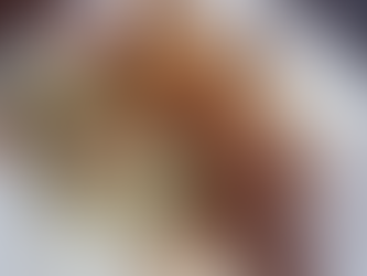 Københavner for en dag.