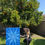 Thumbnail: "Eye See You" Original Painting