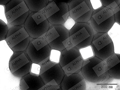 PMMA nanoparticles