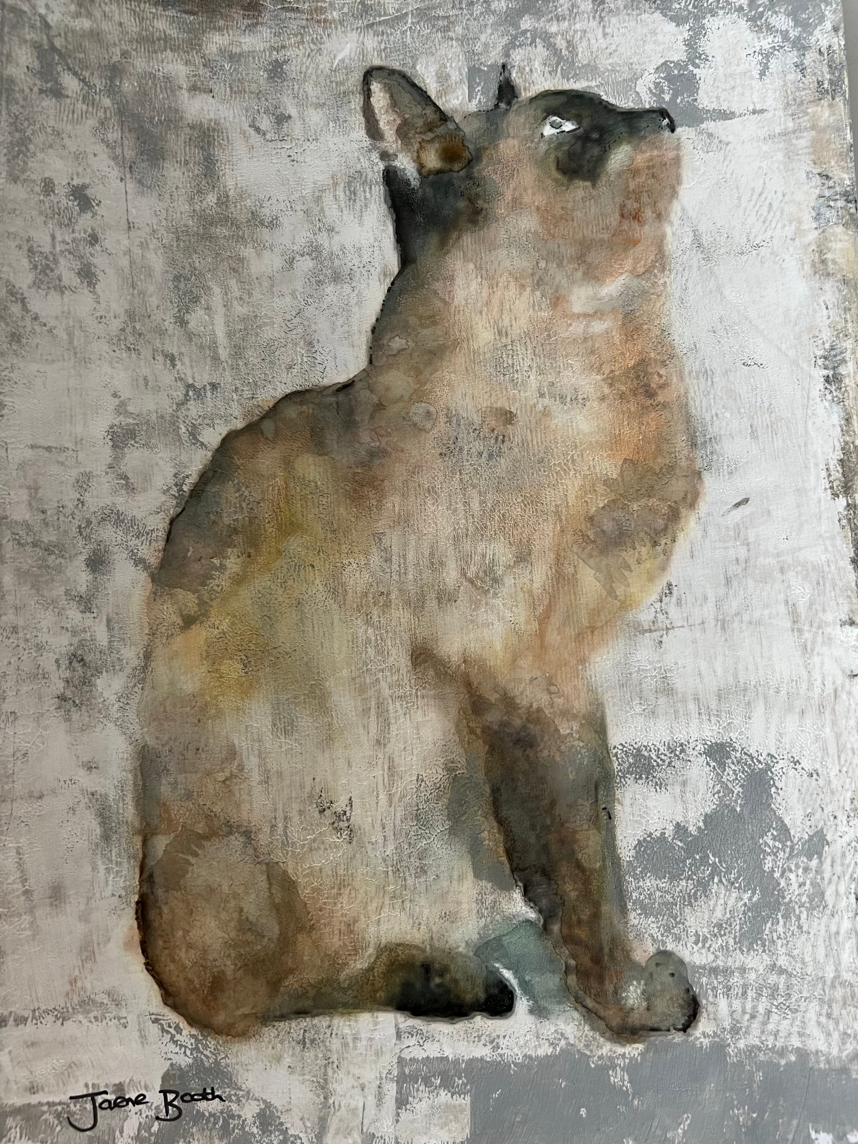 Siamese cat - original and limited edition print 