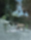 Jardiland (116x89) huile sur toile 2200€.jpeg