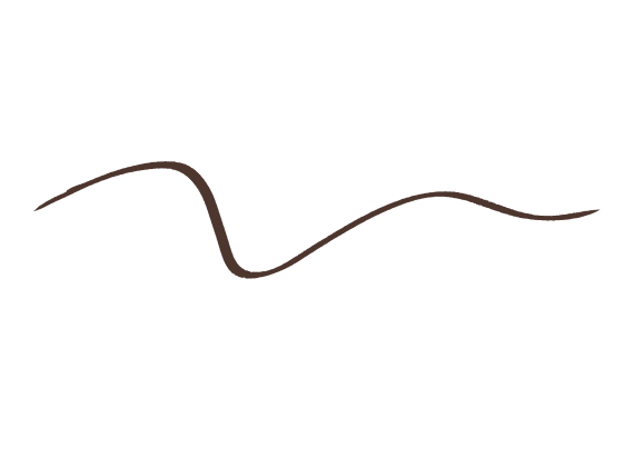 line_blue_04brown.png