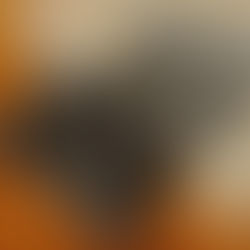 86 éve hunyt el Kosztolányi Dezső