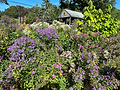 Pollinator 2.jpg