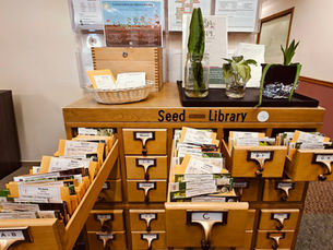 Sowing Seeds of Change: ECI's fall fundraiser